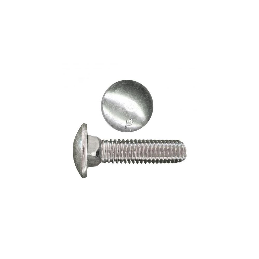 1/4 Inch Zinc Plated Carriage Bolts