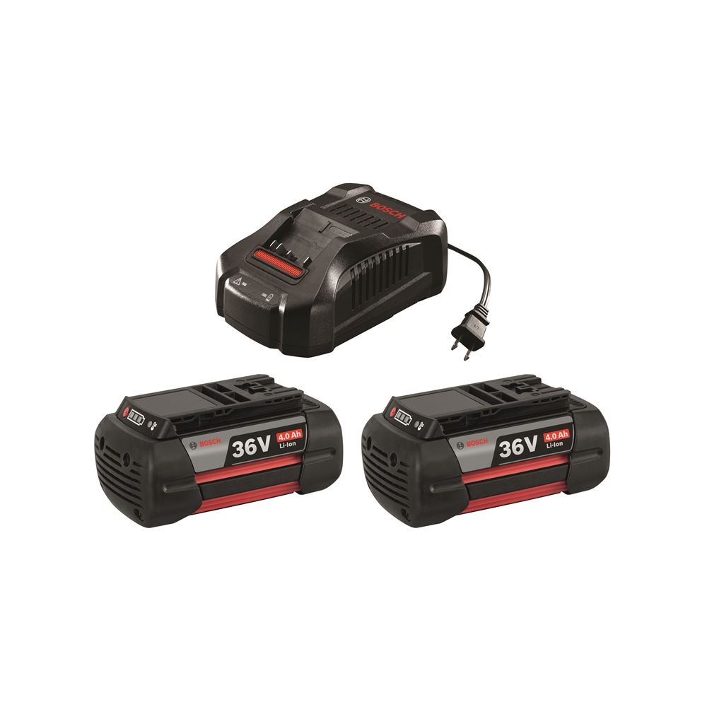 SKC36-01 36 V Lithium-Ion Battery and Charger Star